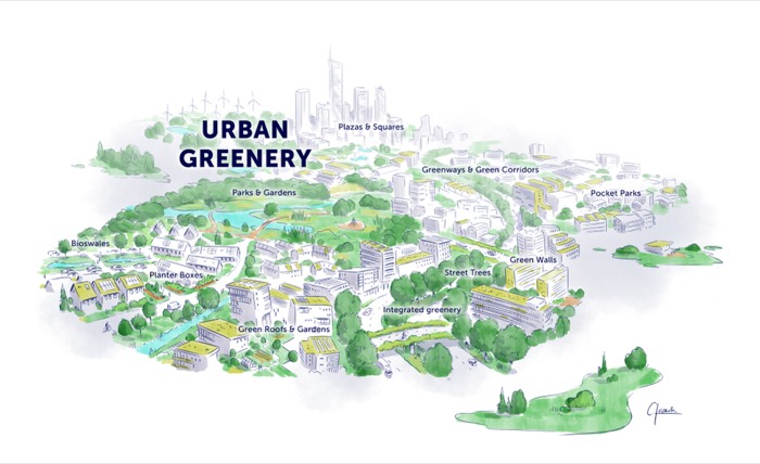 Infographic stedelijk groen voor onderzoeksbooklet Urban Greenery, Erasmus Universiteit Rotterdam